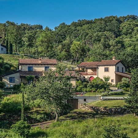 Ferienwohnung Poggio La Croce Scarlino Exterior foto